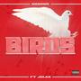 Birds (feat. Jolka) [Explicit]