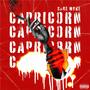 CAPRICORN (Explicit)