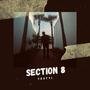 Section 8 (Explicit)