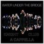 Water Under the Bridge (A Cappella Cover)