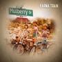 Mulberry Drive