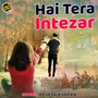 Hai Tera Intezar