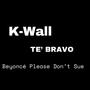 Beyonce Please Dont Sue (Souja) (feat. T'e Bravo) [Explicit]