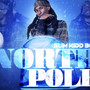 north pole (Explicit)