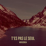 T'es pas le seul (Explicit)