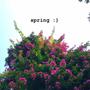 spring :)