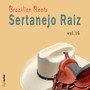 Sertanejo Raiz, Vol. 16