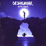 Beshumar