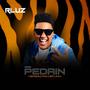 PEDRIN (Versão Ravefunk)