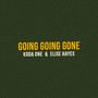 Going Going Gone