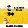 Mangzhong (Remix)