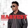 Harvest Season