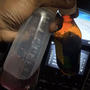 16 a piece (Explicit)