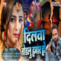 Dilva Todalu Hamar Ho