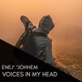 Voices in My Head