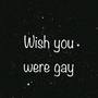 wish you were gay