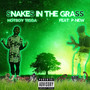 Snakes In The Grass (Explicit)