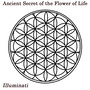 Ancient Secret of the Flower of Life