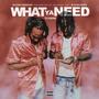 What Ya Need To Know (Explicit)