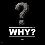 WHY? (Explicit)