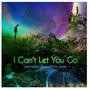 I Can't Let You Go (feat. Witty & Eskay)