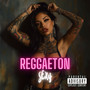 Reggaeton Mix 2024 (Explicit)