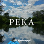 Река