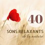 40 sons relaxants de la nature - Musique de fond pour yoga et méditation