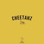 Cheetahz (feat. Slimeballhimself) [Explicit]