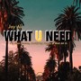 What You Need (feat. Sean Carson, BoddyBag Jones & Wali Ali Jr)