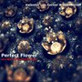 Perfect Flower (feat. Noel Neron)