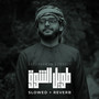 Taweel Alshawq Slowed