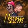 Harem (Explicit)