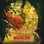 NgoLer (feat. Higa & Mazkiac)