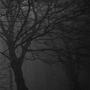 Disappear