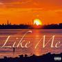 Like Me (Explicit)