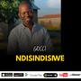 NDISINDISIWE