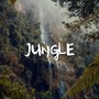 Jungle（丛林）