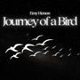 Journey of a Bird