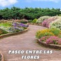 Paseo entre las Flores