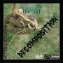 DECOMPOSITION (Explicit)