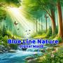 Blue Line Nature