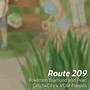 Route 209 (From 