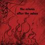 the echoes after the ashes