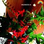 Vacances III