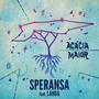 Speransa (feat. Landa & Berlok)