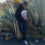 Loyalty over love (feat. Bandit909) [Explicit]