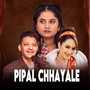 Pipal Chhayale