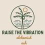 Raise The Vibration (The Soul Frequency Remix) [Explicit]