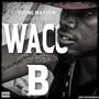 Waco B (Explicit)